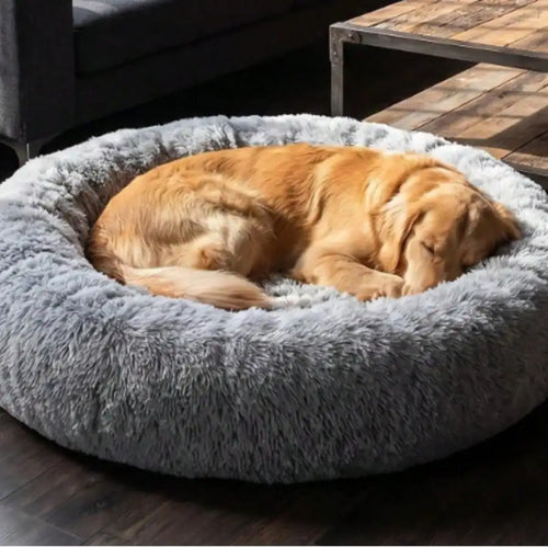 The Calm Routine Kit — Maze Bowl, Calm Mat and Donut Bed bundle from G&G Nuzzle