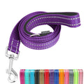 The Everyday Lead — Padded 4-Foot Leash — supplier product photo